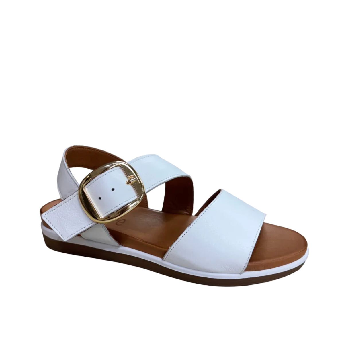 Dorothy